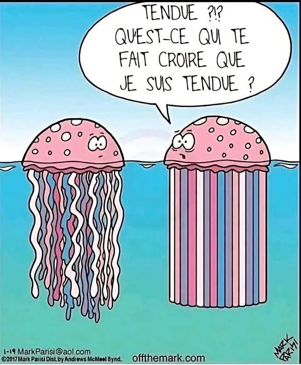 Illustration humoristique de deux méduses, l’une détendue et l’autre tendue